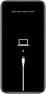 jailbreak-ios14.6.1-checkra1n-mac3