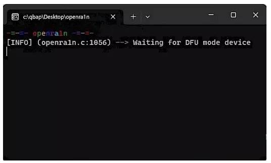 Run OpenRa1n