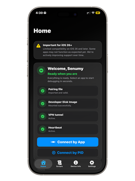 StikJIT or StikDebug IPA app.