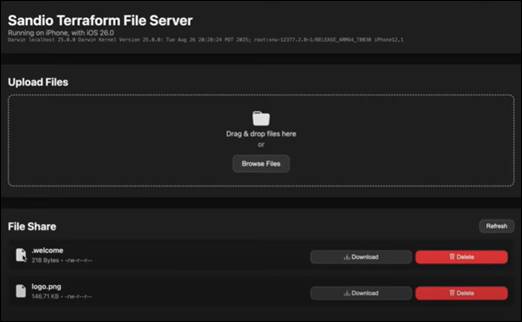 Sandio Terraform File Server